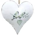Floristik24 Cintre de décoration coeur avec motif oiseau, décoration coeur pour la Saint Valentin, pendentif métal forme coeur 4pcs