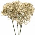 Floristik24 Branche de fleur décorative blanche crème de sureau artificielle 52cm 4pcs