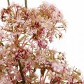 Floraison déco branche rose foncé Fleurs de prairie artificielles 88cm