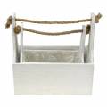 Floristik24 Boîte à outils boîte à plantes avec poignée boîte en bois blanc 27 × 15 cm / 22 × 10,5 cm