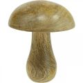 Floristik24 Champignon en bois naturel, jaune automne déco champignons en bois 12×10cm