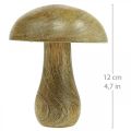 Floristik24 Champignon en bois naturel, jaune automne déco champignons en bois 12×10cm