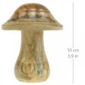 Floristik24 Champignon en bois avec rainures Automne déco champignon bois de manguier naturel 10×Ø8cm