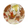 Floristik24 Déco champignon en bois feuilles d&#39;automne blanc, décoration de table champignon coloré Ø10cm H15cm