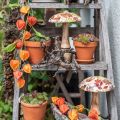 Champignon en bois déco feuilles d'automne blanc, décoration automnale colorée Ø13cm H19cm | Floristik24.fr