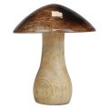 Floristik24 Décoration champignon en bois effet brillant marron naturel Ø10cm H12cm