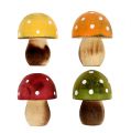 Floristik24 Décoration parsemer champignons en bois 3cm assortis 24pcs