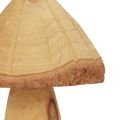 Floristik24 Champignons en bois décoration champignons décoration en bois décoration de table naturelle automne Ø11cm H28cm