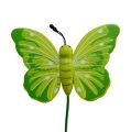 Floristik24 Papillons en bois sur tige 3 couleurs assortis 8cm 24P