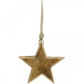 Floristik24 Étoile décorative, pendentifs en bois, décorations de Noël 14cm × 14cm
