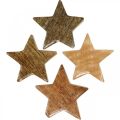 Floristik24 Étoiles en bois éparpiller décoration étoile Noël nature briller H5cm 12 pièces
