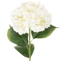 Floristik24 Hortensia artificielle sur tige 60 cm en tissu crème