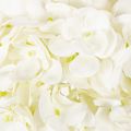 Hortensia artificielle sur