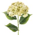 Floristik24 Hortensia artificielle avec tige longue et feuilles 60 cm crème-vert