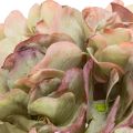 Fleur décorative d'hortensia artificiel avec tige, 46 cm | Floristik24.fr