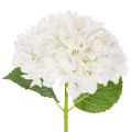 Floristik24 Hortensia artificielle blanche sur tige longue 48 cm en plastique