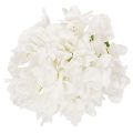 Hortensia artificielle blanche