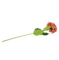 Floristik24 Hortensia rose 80cm 1pc