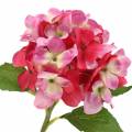 Floristik24 Fleur d'Art Hortensia Rose 36cm
