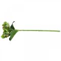 Hortensia artificiel, décoration florale, fleur en soie verte L44cm