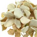 Hortensia fleur artificielle marron, blanc décoration automne fleur en soie H32cm
