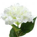 Floristik24 Hortensia grand blanc artificiel L110cm