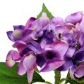 Floristik24 Hortensia violet 33cm 1p