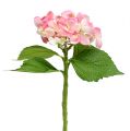 Floristik24 Hortensia rose 33cm