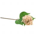 Floristik24 Hortensia rose artificiel 61cm