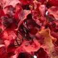 Branche de Fleurs d’Hortensia Artificielle 74 cm Rouge | Floristik24.fr