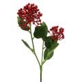 Floristik24 Branche de bourgeon d&#39;hortensia 55cm rouge 6pcs