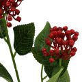 Floristik24 Branche de bourgeon d&#39;hortensia 55cm rouge 6pcs