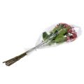 Floristik24 Branche de bourgeon d&#39;hortensia 55cm rose 6pcs