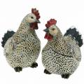 Floristik24 Figurines décoratives Pâques, poulets 2 pcs