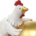 Floristik24 Poules déco avec oeuf de Pâques, poules de Pâques, oeuf doré, décoration Pâques H12/11cm lot de 2