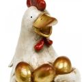 Floristik24 Poule de Pâques, poule décorative, poule aux oeufs d&#39;or, figurine de Pâques H24cm