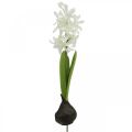 Jacinthe artificielle avec bulbe fleur artificielle blanche à coller 29cm