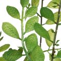 Plante artificielle en pot,