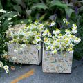 Floristik24 Boîtes à planter, décoration en bois, boîte décorative avec abeilles, décoration printanière, shabby chic L15/12cm H10cm lot de 2