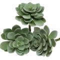 Floristik24 Déco succulentes artificielles plantes artificielles vertes 11×8.5cm 3pcs