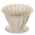 Floristik24 Coupe décorative crème 9 cm en forme de fleur