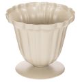 Floristik24 Petite coupe décorative en métal crème 10 cm