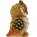 Floristik24 Figurine déco hibou peinte à la main en polyrésine décorative d&#39;automne H14cm
