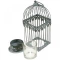 Floristik24 Décoration de bougie, cage à oiseaux avec verre photophore, lanterne en métal, décoration de mariage, lanterne 22cm