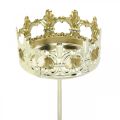 Floristik24 Photophore couronne, bougie décoration Noël, bougeoir pour couronne de l&#39;Avent doré Ø5.5cm 4pcs