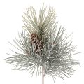 Floristik24 Branche de pin artificielle avec pomme de pin enneigée 40cm
