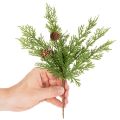 Branche de pin artificielle avec pommes de pin, 28 cm, lot de 6 | Floristik24.fr