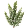 Floristik24 Kiefernzweig artificiel enneigé pour décoration 40 cm - Lot de 3