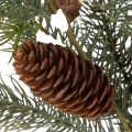 Branche artificielle de sapin avec pommes de pin, 41 cm | Floristik24.fr