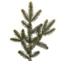 Floristik24 Branches de sapin artificielles pour la décoration de table, 45 cm, lot de 3.